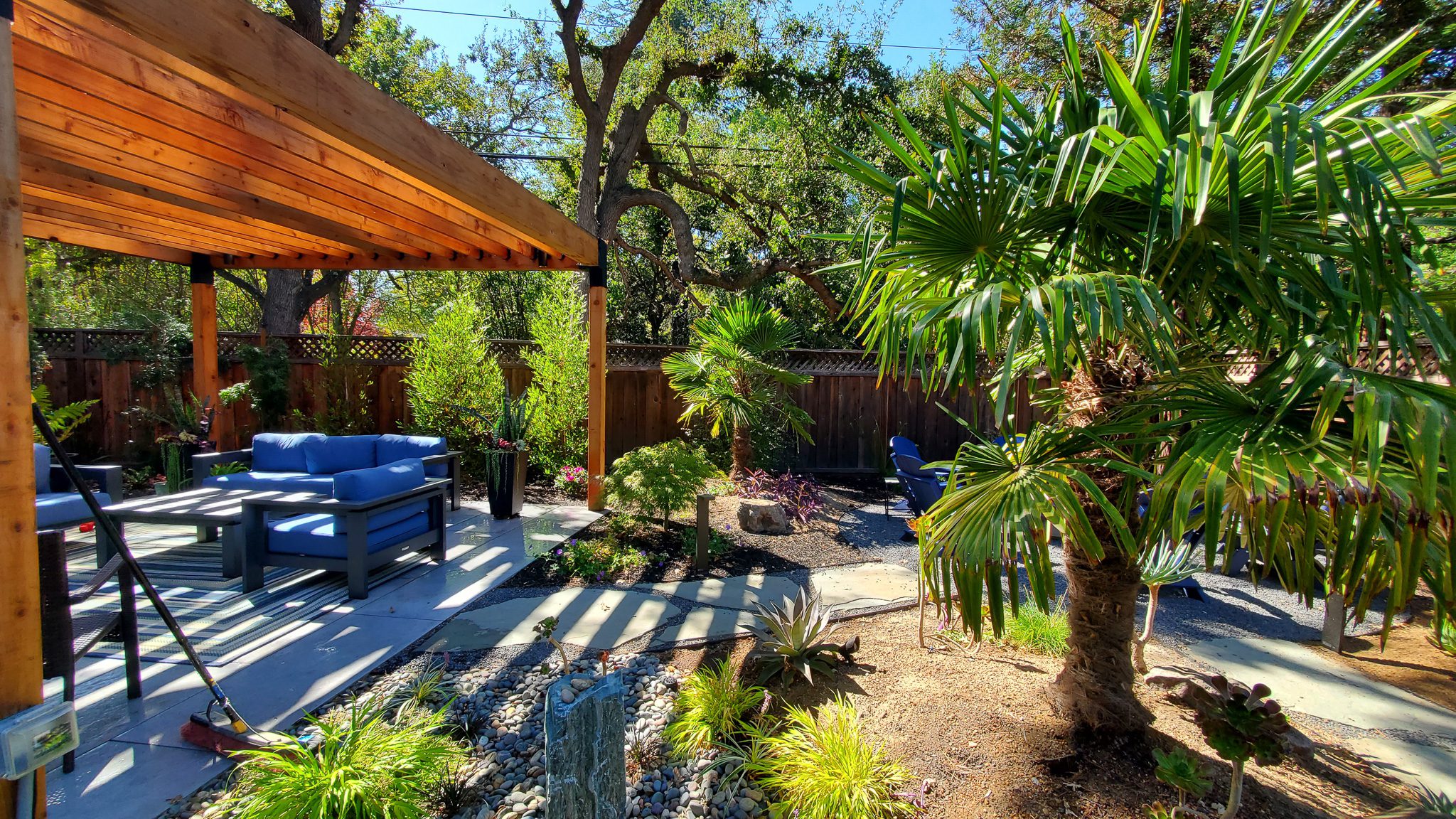 20221003_133635 A backyard featuring a wooden pergola covering outdoor seating with blue cushions, surrounded by lush greenery including a palm tree, various plants, and a wooden fence in the background.